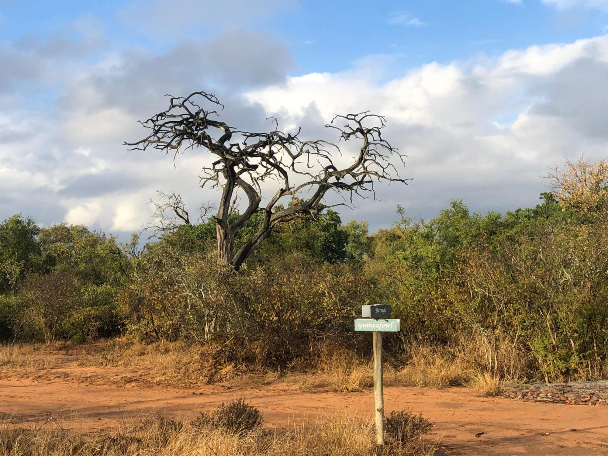 Lodge 54 Hoedspruit Exteriér fotografie